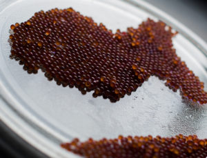 clasificación de huevos