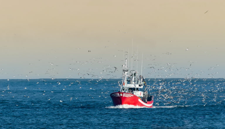 Featured image for GSA Officially Takes Ownership of the Responsible Fishing Vessel Standard