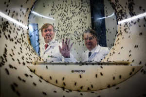 World’s largest fly factory attracting investors eyeing aquafeed expansion