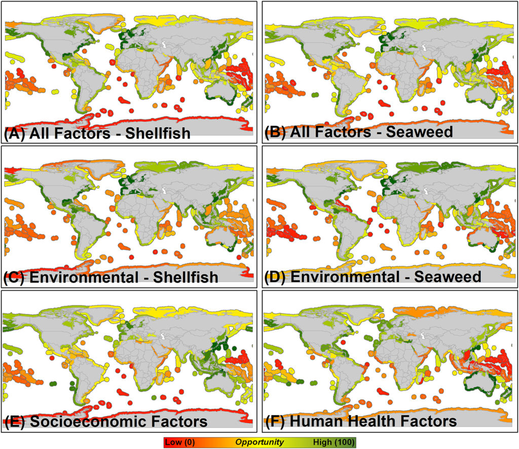 Identifying global opportunities for shellfish, seaweed aquaculture ...