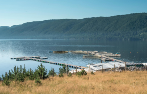 basics of farmed seafood