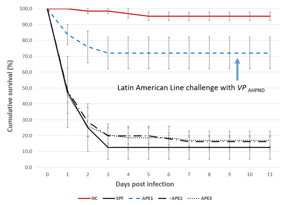 Fig. 1: Trial I: Cumulative survival for four P. vannamei lines exposed to VPAHPND (1 × 10^5 CFU per ml). Negative control (NC) for APE1-3 (red solid line), APE1 (dashed blue line), APE2 (dash-dot line), APE3 (dotted line) and SPF (black solid line). Data shown are the average of three (APE1, 2, 3) or two (SPF) replicates. Error bars represent the 95 percent confidence interval of the data set.