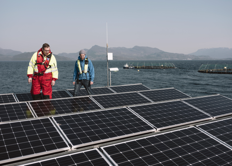 Article image for Renewable energy could transform offshore aquaculture, but what about …