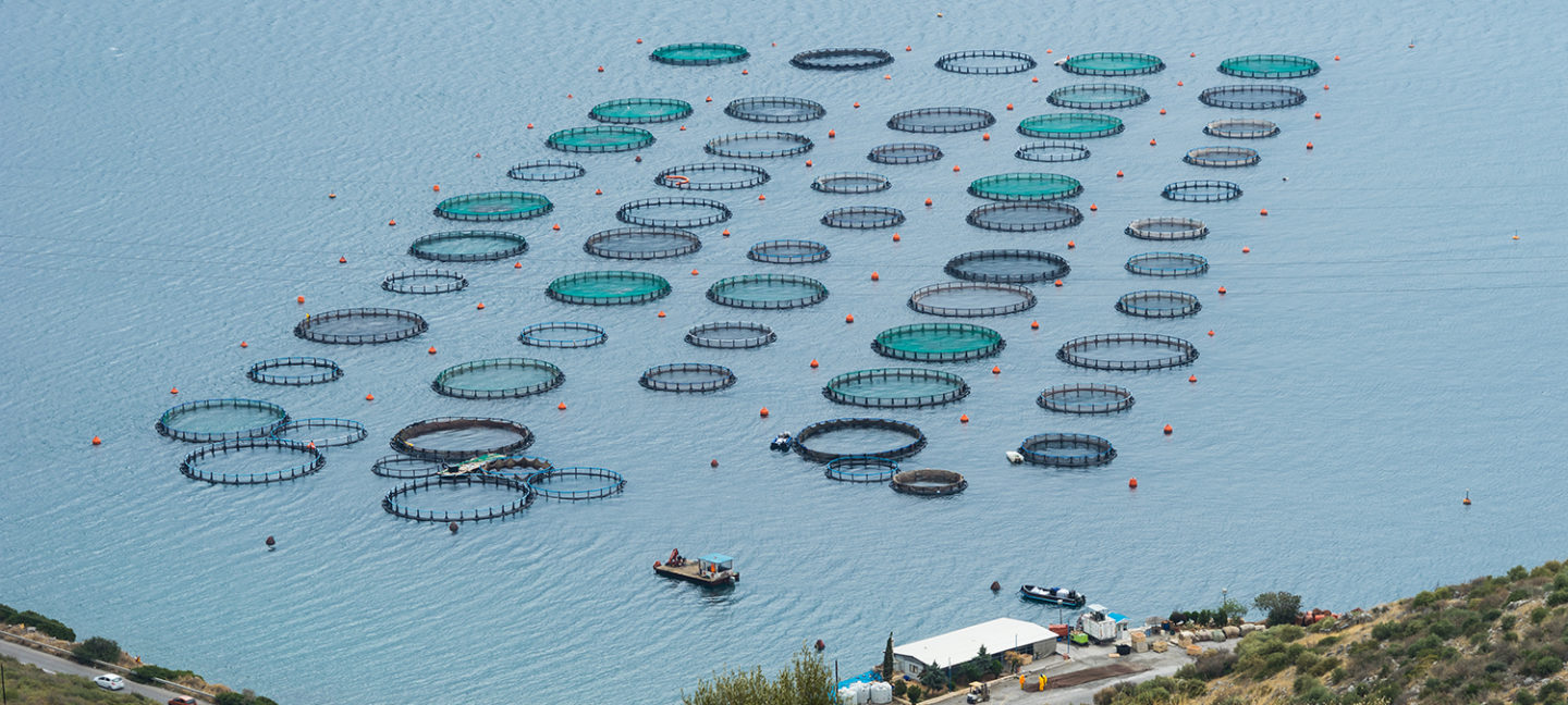 passive acoustic telemetry