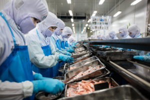 Wrestling with a ‘generational’ problem, Thai shrimp industry rates higher
