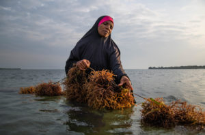 Zanzibari seaweed farmer Bi Kombo Rashidi Ali