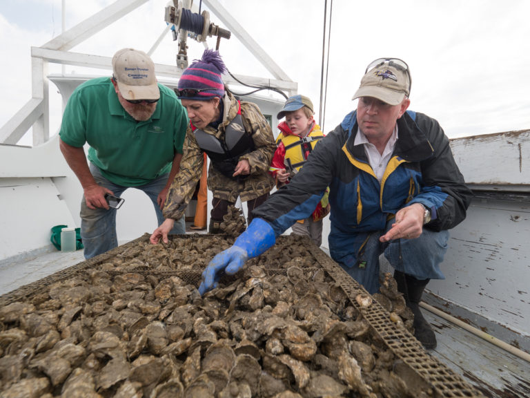 Featured image for Q&A with Matt Parker, Aquaculture Business Specialist