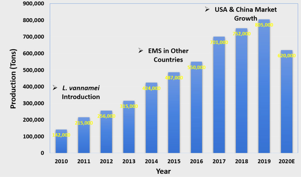 How India became the world’s top shrimp producer Responsible Seafood