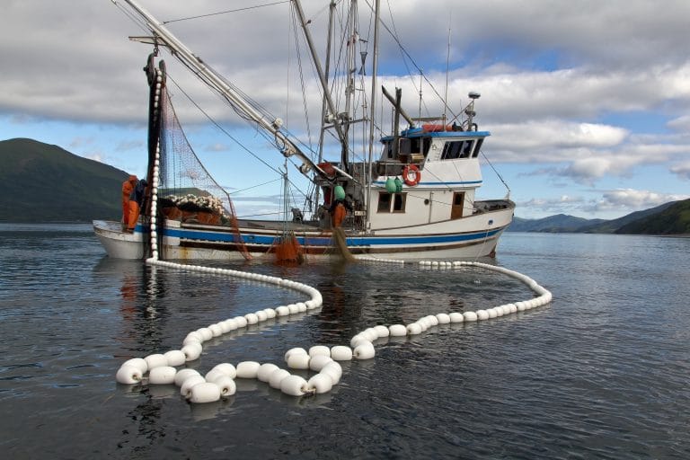 Featured image for Steaming Ahead with the Responsible Fishing Vessel Standard