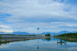Effects of weather and climate on aquaculture