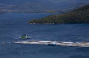 A salmon farm in the Aysen region of Chile