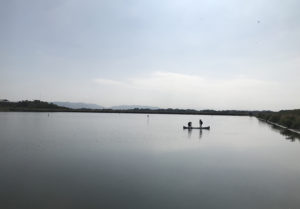 La industria camaronera de Ecuador