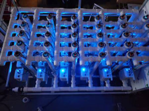 sabores desagradables