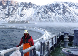 Grieg Seafood operates salmon farms in Norway