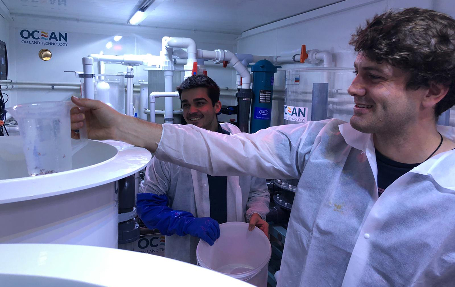 Orkney Shellfish Hatchery has the hardware for shellfish restoration