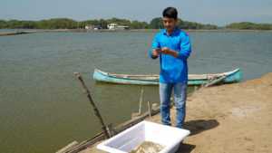 Shrimp farmers in Ecuador tap an app to seal a better deal