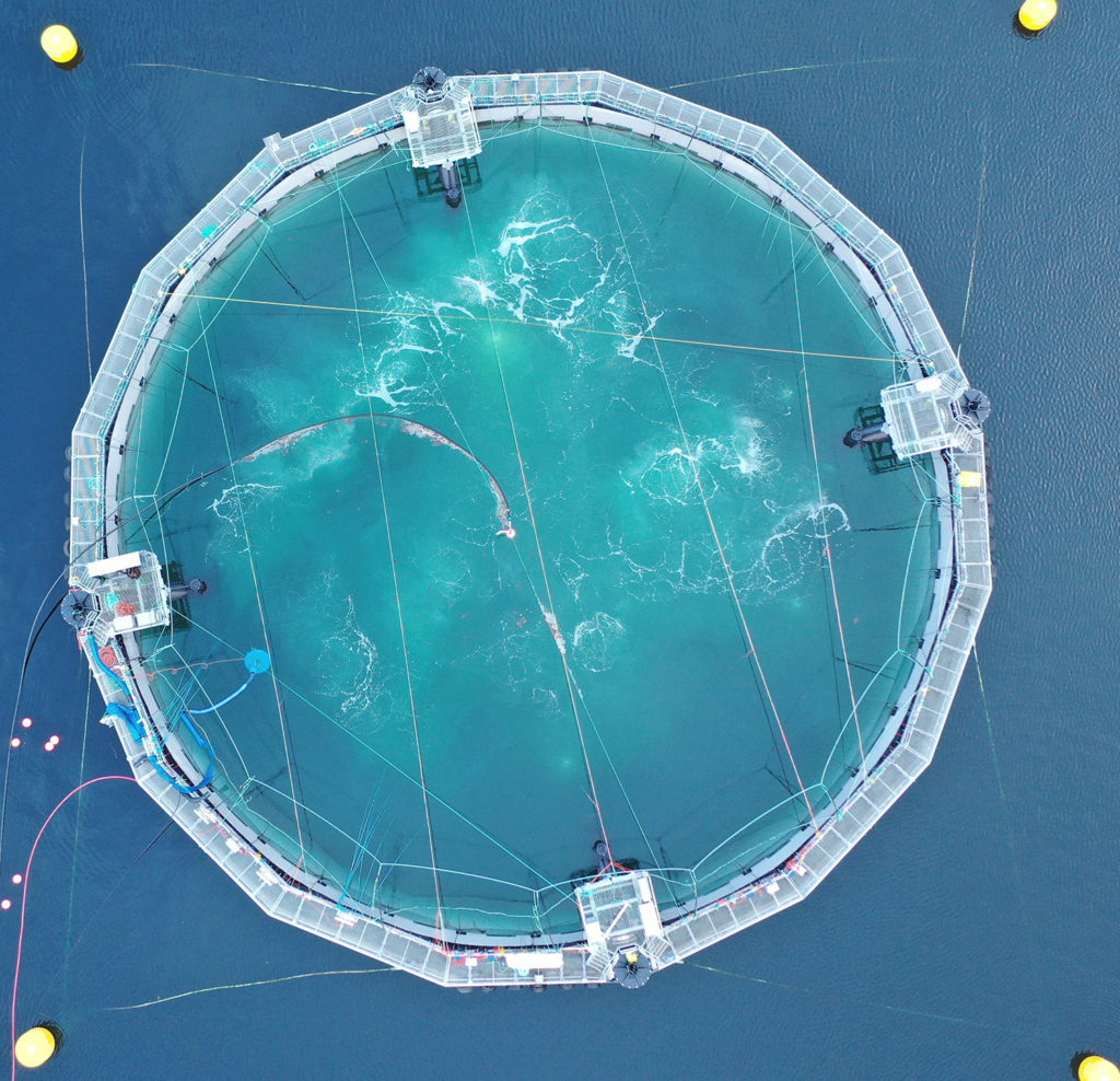 Article image for Not RAS, not net pens: Salmon farm concepts redefine barriers