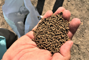 evaluation of aquafeed ingredients