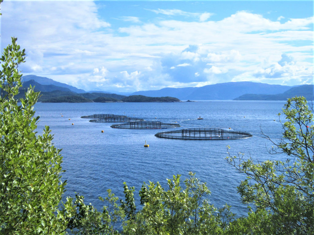 Article image for Quantifying greenhouse gas emissions from global aquaculture