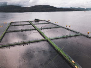 Steel cage salmon farm designer ramping up with capital infusion
