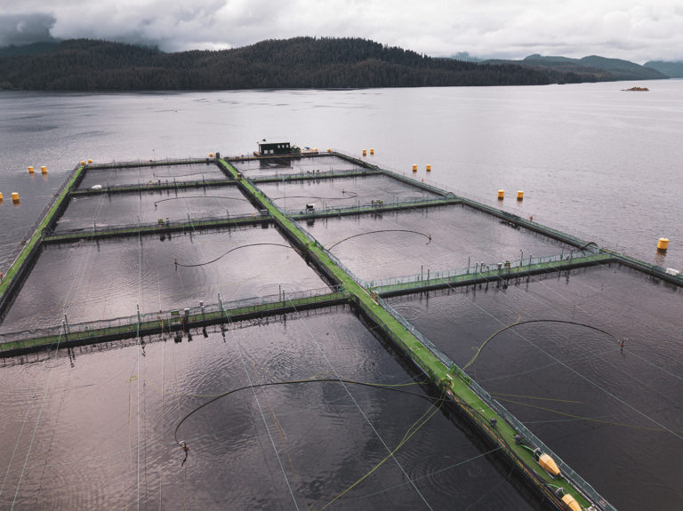 Article image for Steel cage salmon farm designer ramping up with capital infusion