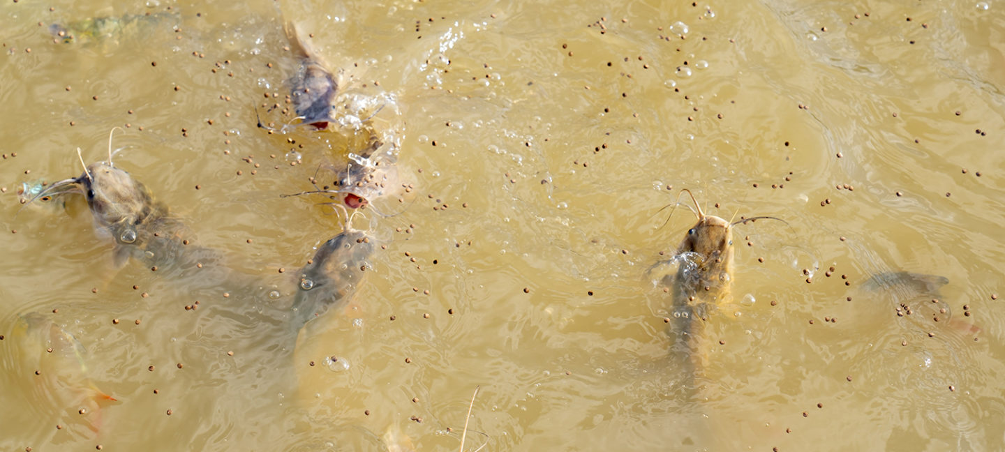 microplastics warning