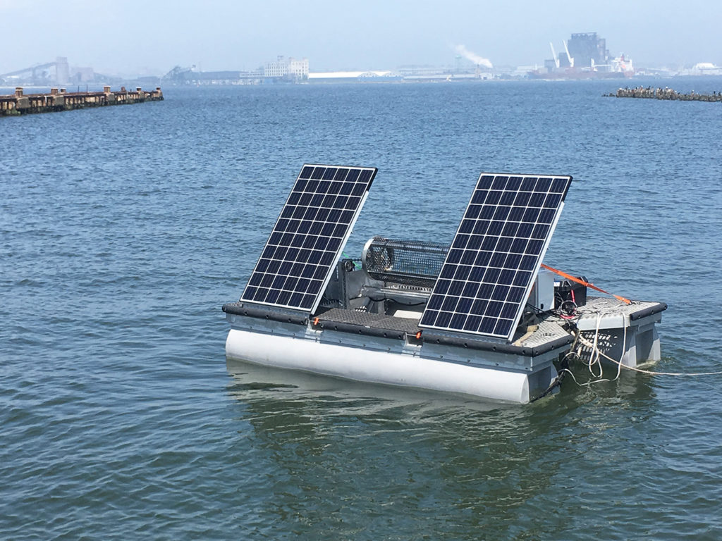 Article image for Successful initiative using solar-powered oyster production technology to expand