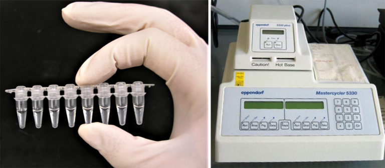 Article image for El uso inadecuado de la PCR causa más daño que bien