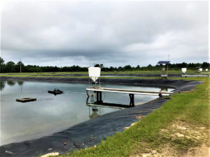 alimentadores acústicos pasivos