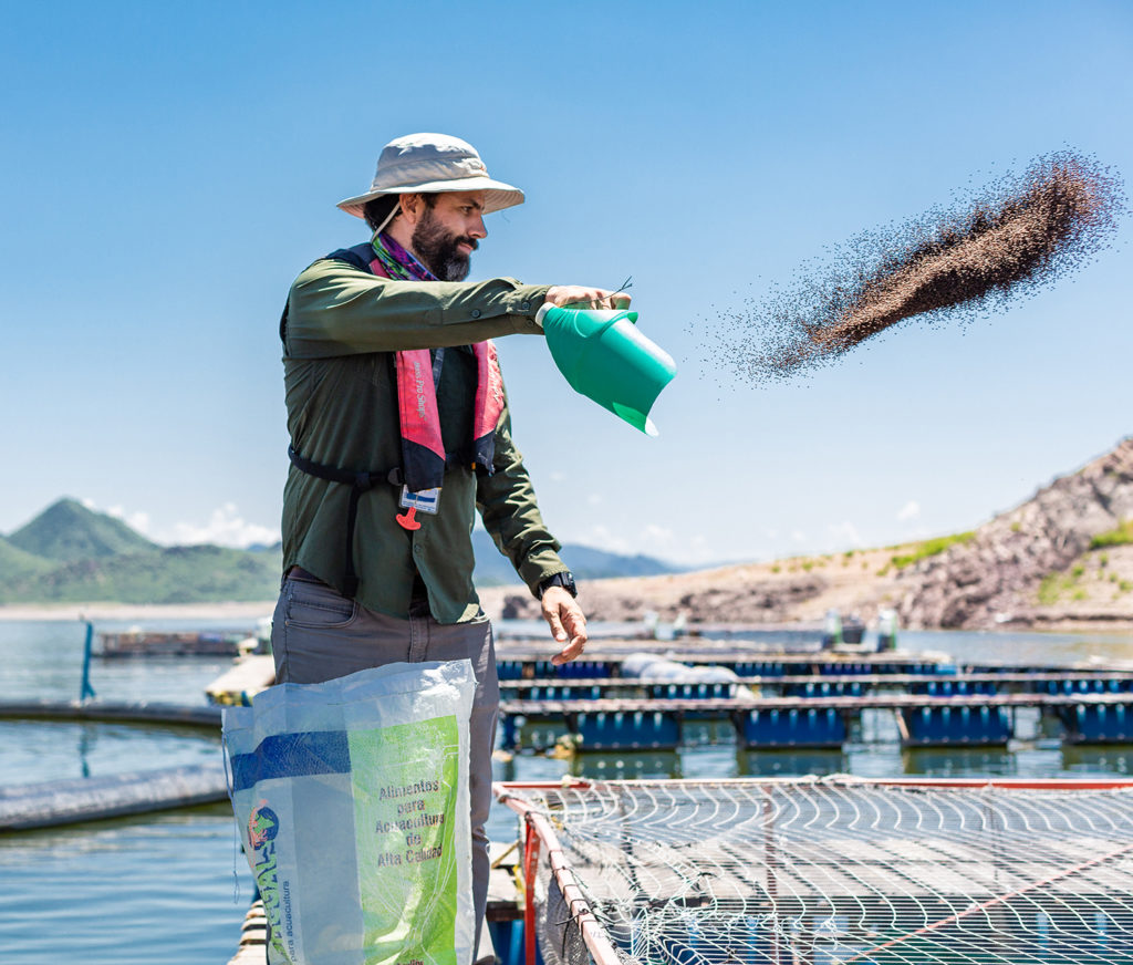 Article image for La soya ayudó a convertir la acuacultura en una fuerza global. ¿Hasta dónde la puede llevar?