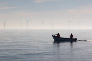 Offshore wind farms expected to reduce clam fishery revenue, study finds