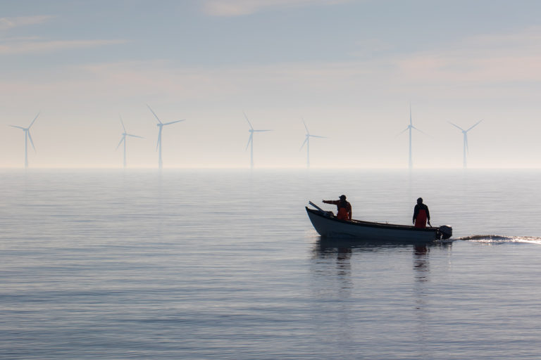 Article image for Offshore wind farms expected to reduce clam fishery revenue, study finds