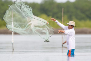 Aquaculture, feed companies embark on a carbon-cutting journey