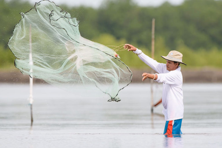 Article image for Aquaculture, feed companies embark on a carbon-cutting journey