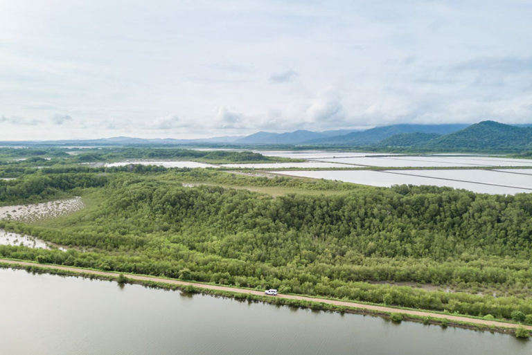 Article image for Las empresas acuícolas y de alimentos acuícolas se embarcan en un viaje de reducción de carbono