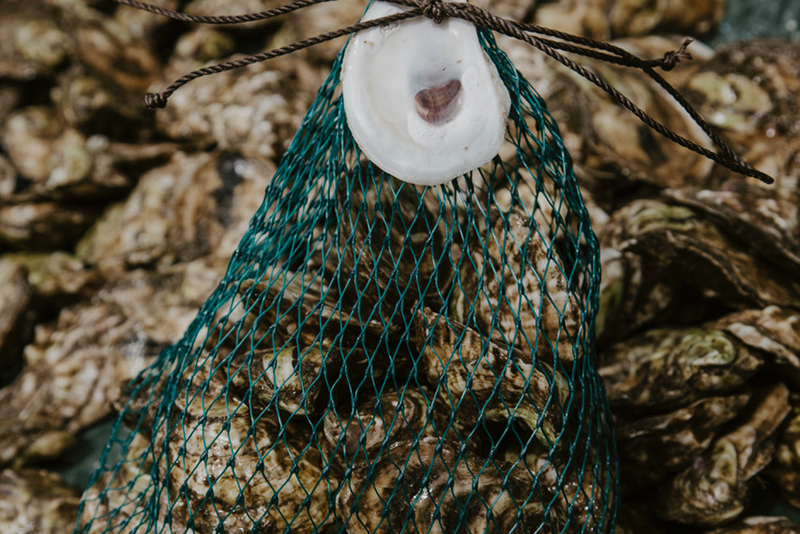 Article image for They sell shellfish shares by the seashore: A surge of oyster CSAs
