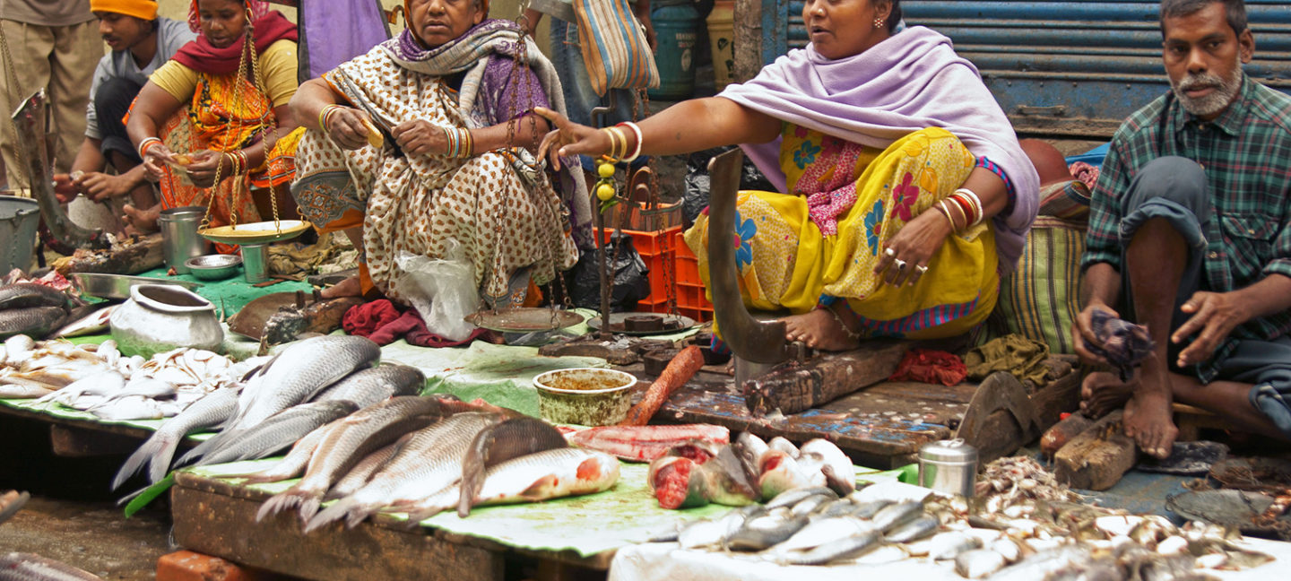 los alimentos acuáticos