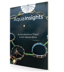 A new Aqua Insights Report from Aqua-Spark finds that tilapia aquaculture is key to food security across sub-Saharan Africa.