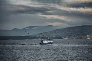 Bottom trawling linked to high greenhouse gas emissions in MPA-supporting study