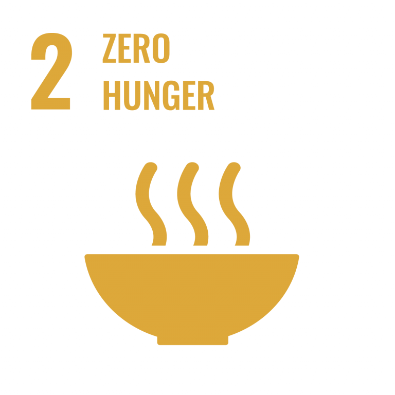 Infographic of SDG 2 - Zero Hunger