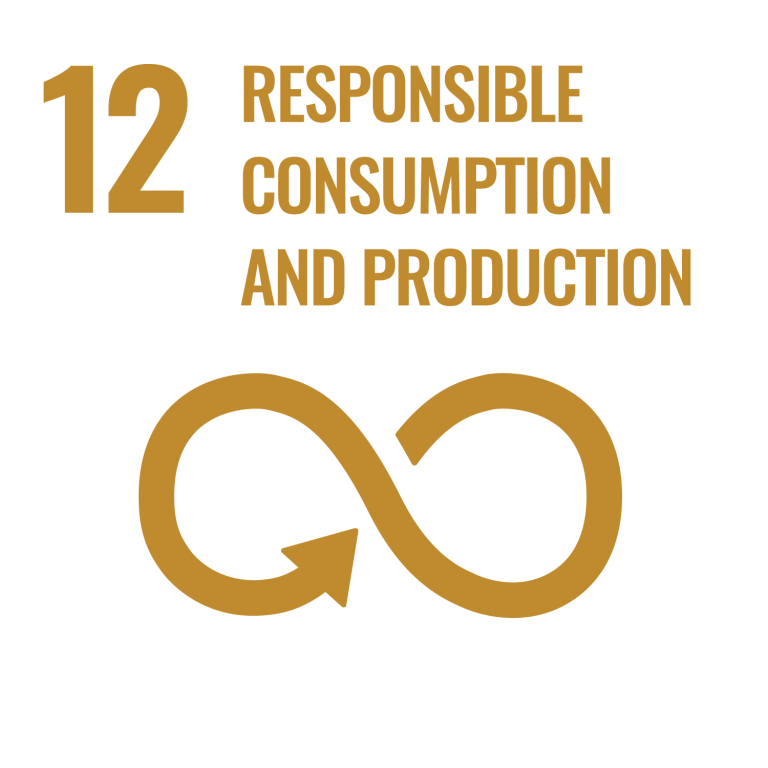 Infographic of SDG 12 Responsible Consumption and Production