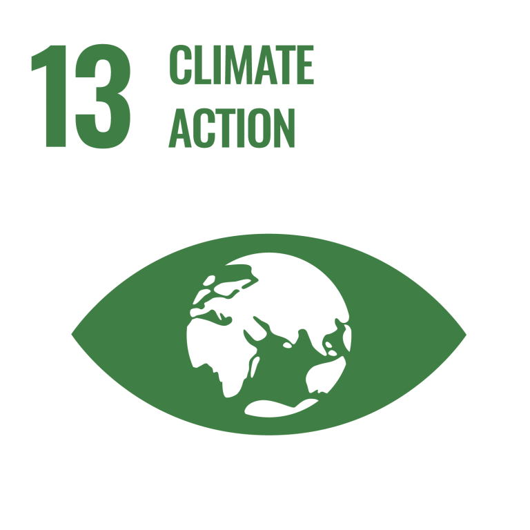 Infographic of SDG 13 - Climate Action