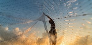 Global Seafood Alliance