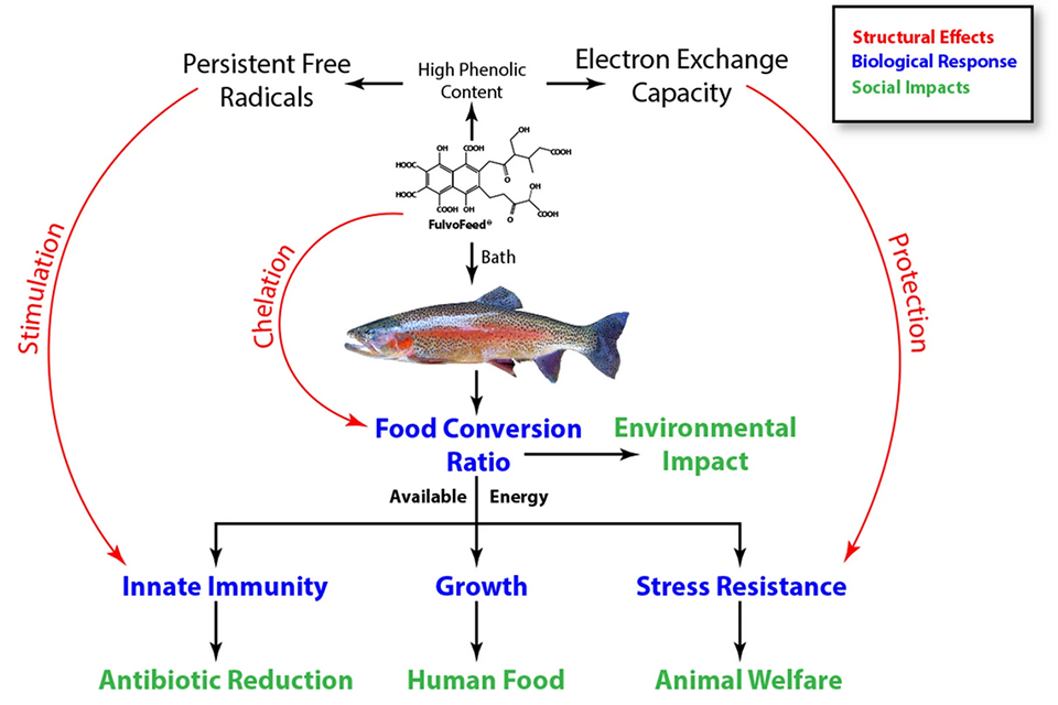 fulvic acid