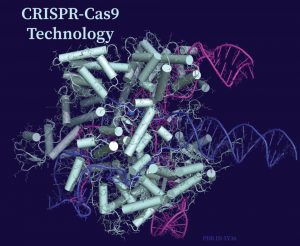 genomes