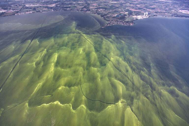 Article image for Efectos del cambio climático en la producción acuícola