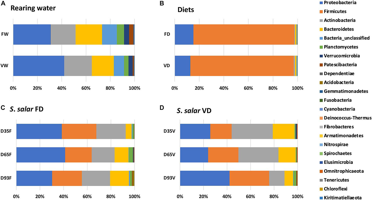 Fig. 1: Phylum composition of microbiota from rearing water (A), diets (B) and hindgut of Atlantic salmon samples in fish oil “FD” (C) and vegetable oil “VD” (D) dietary treatments, at days D35, D65, and D93 post first feeding.