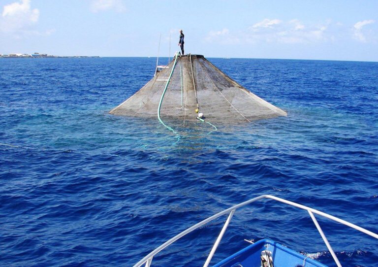 Article image for A review of marine fish aquaculture in submerged cages