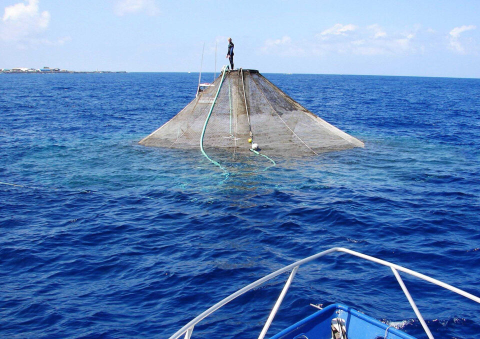 submerged cages