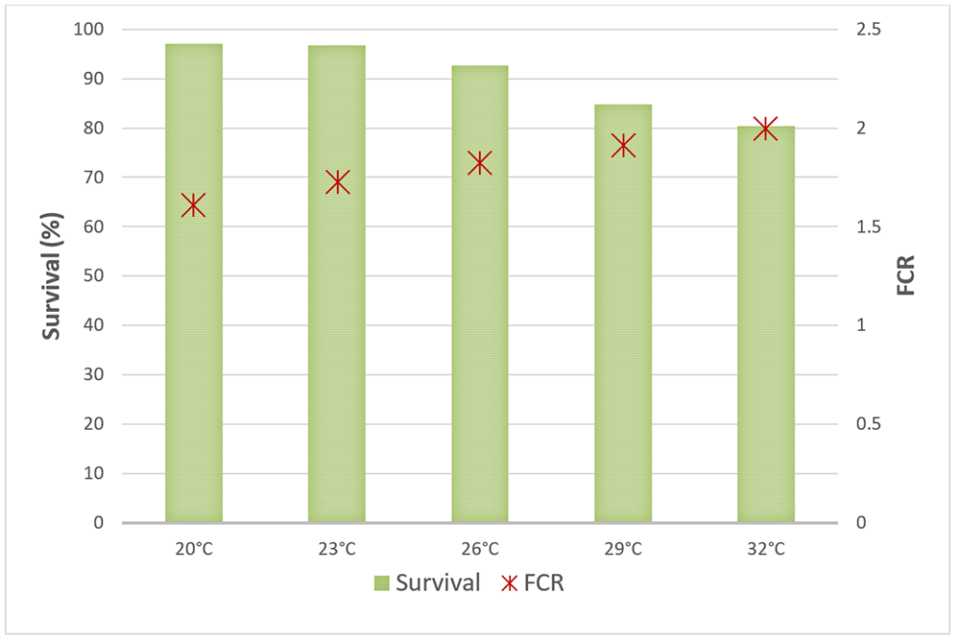 Survival rate percentages
